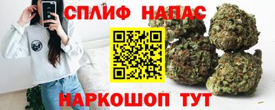 МДПВ Рузаевка