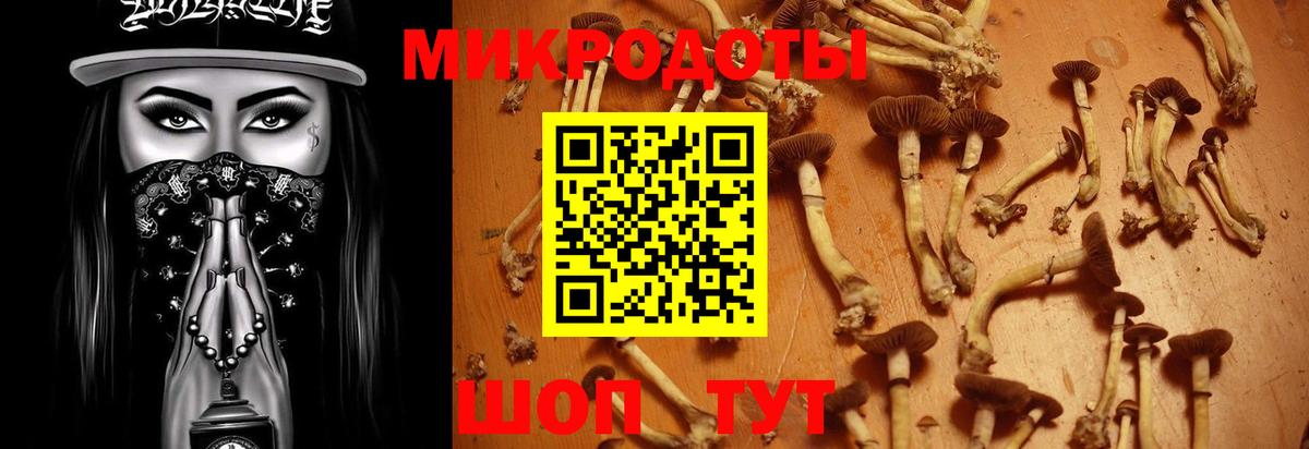 Галлюциногенные грибы мицелий  Вход с VPN  Псилоцибиновые грибы MAGIC MUSHROOMS  Ростов-на-Дону 